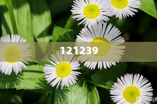 揭開7777788888管家婆鳳凰網(wǎng)與最新版本更新的真相