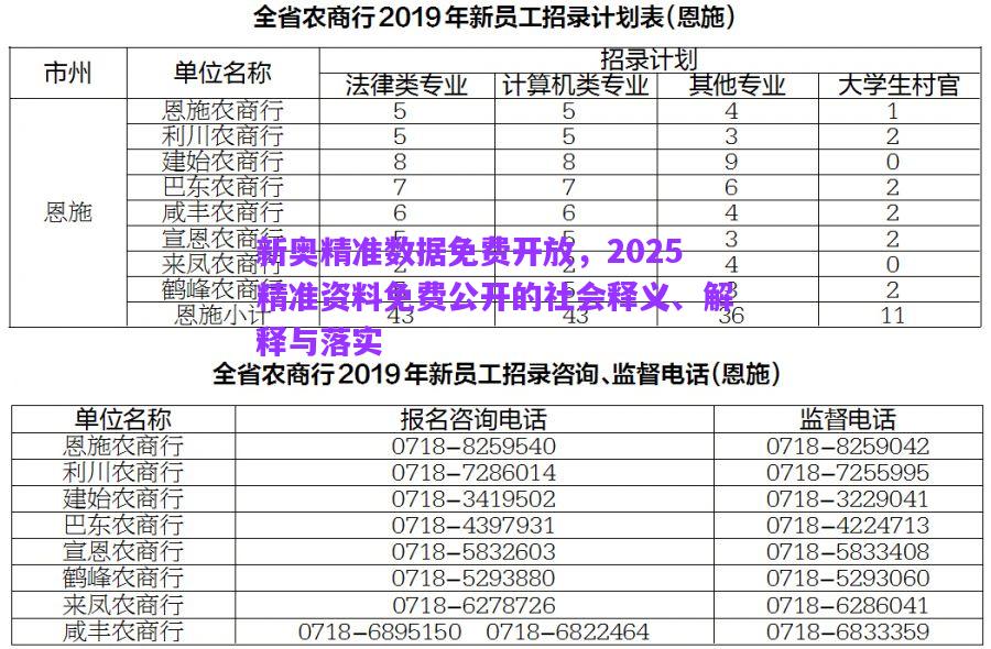 新奧精準(zhǔn)數(shù)據(jù)免費(fèi)開放，2025精準(zhǔn)資料免費(fèi)公開的社會(huì)釋義、解釋與落實(shí)