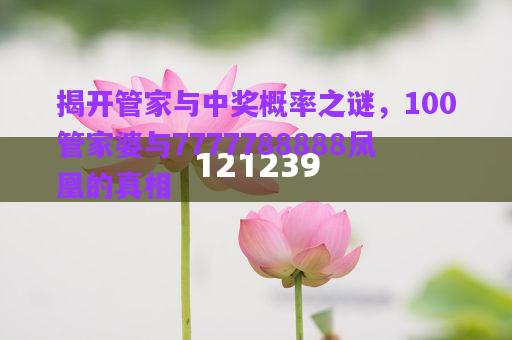 揭開管家與中獎(jiǎng)概率之謎，100管家婆與7777788888鳳凰的真相