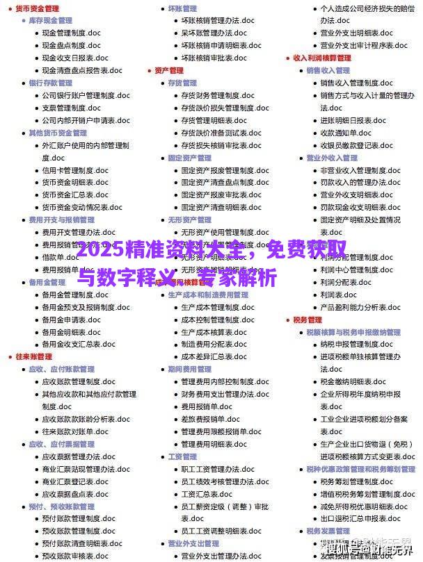 2025精準(zhǔn)資料大全，免費獲取與數(shù)字釋義、專家解析