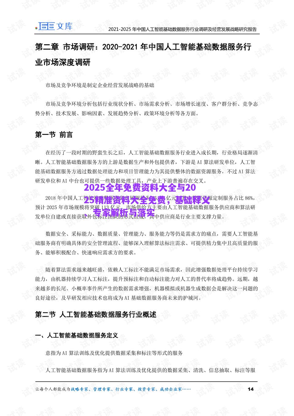 2025全年免費(fèi)資料大全與2025精準(zhǔn)資料大全免費(fèi)，基礎(chǔ)釋義、專家解析與落實(shí)