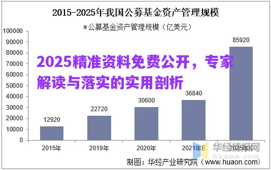 2025精準(zhǔn)資料免費公開，專家解讀與落實的實用剖析