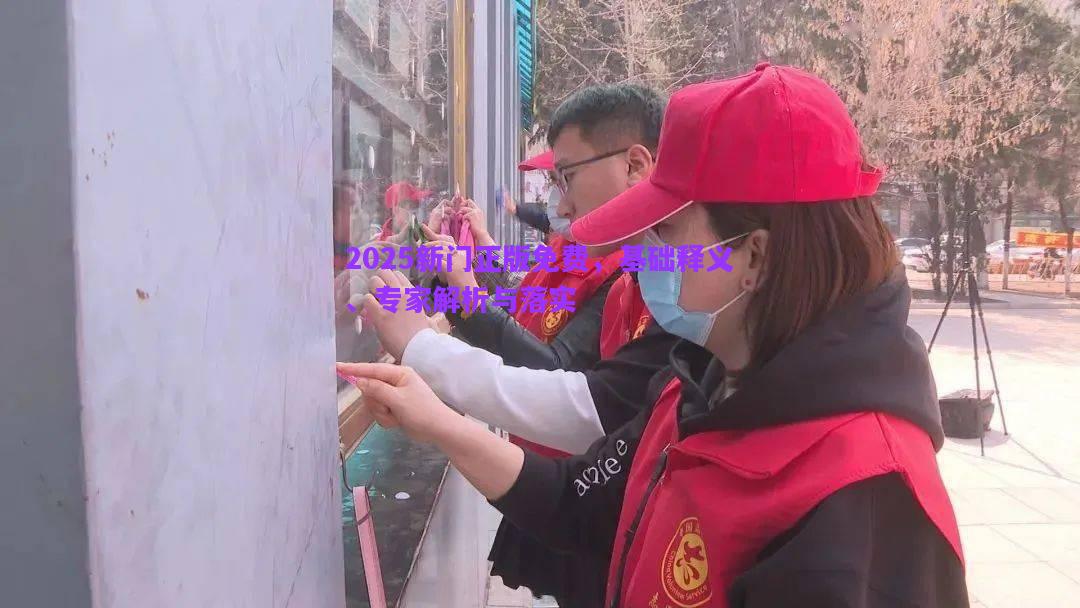 2025新門(mén)正版免費(fèi)，基礎(chǔ)釋義、專(zhuān)家解析與落實(shí)