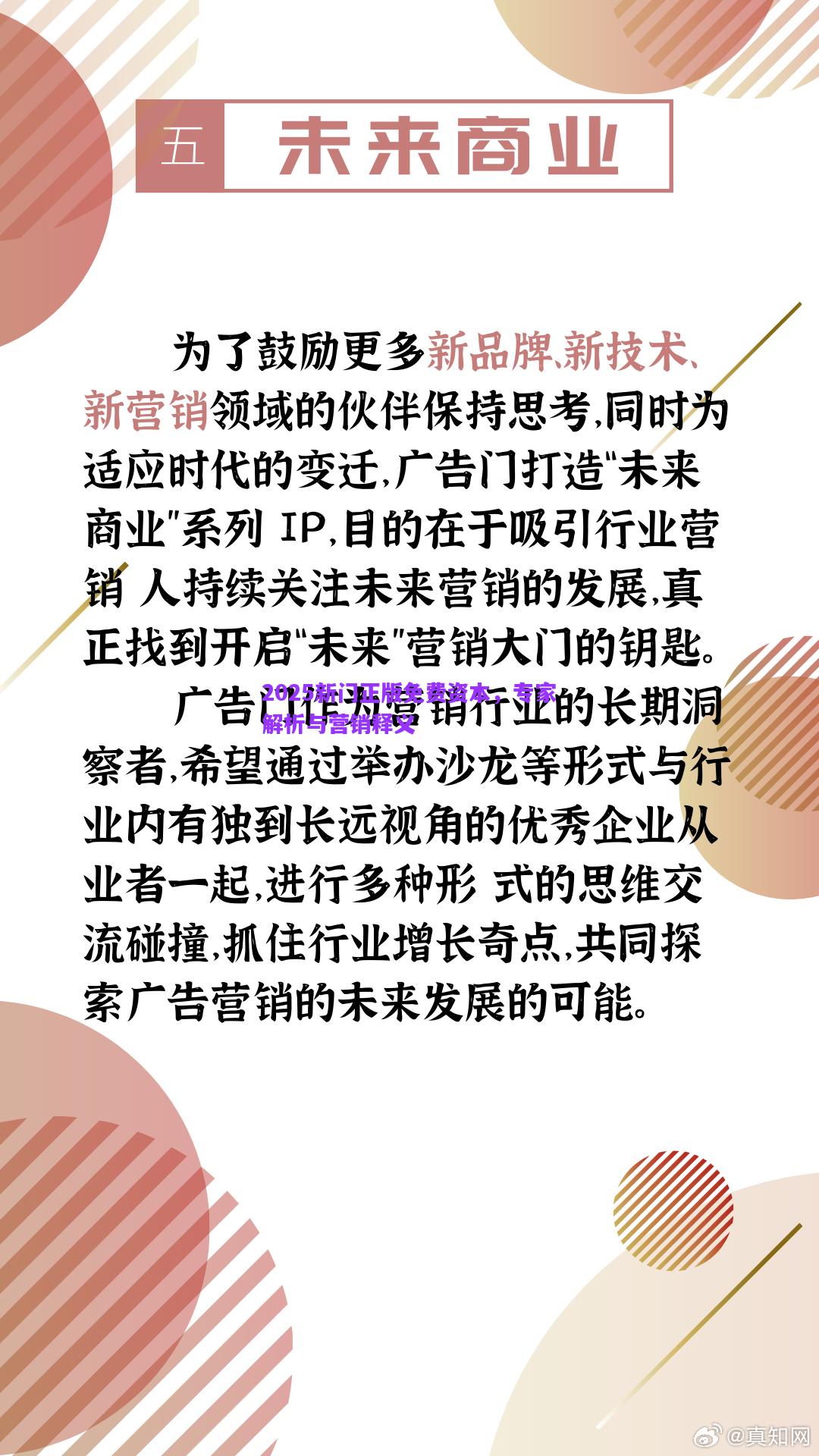 2025新門正版免費資本，專家解析與營銷釋義