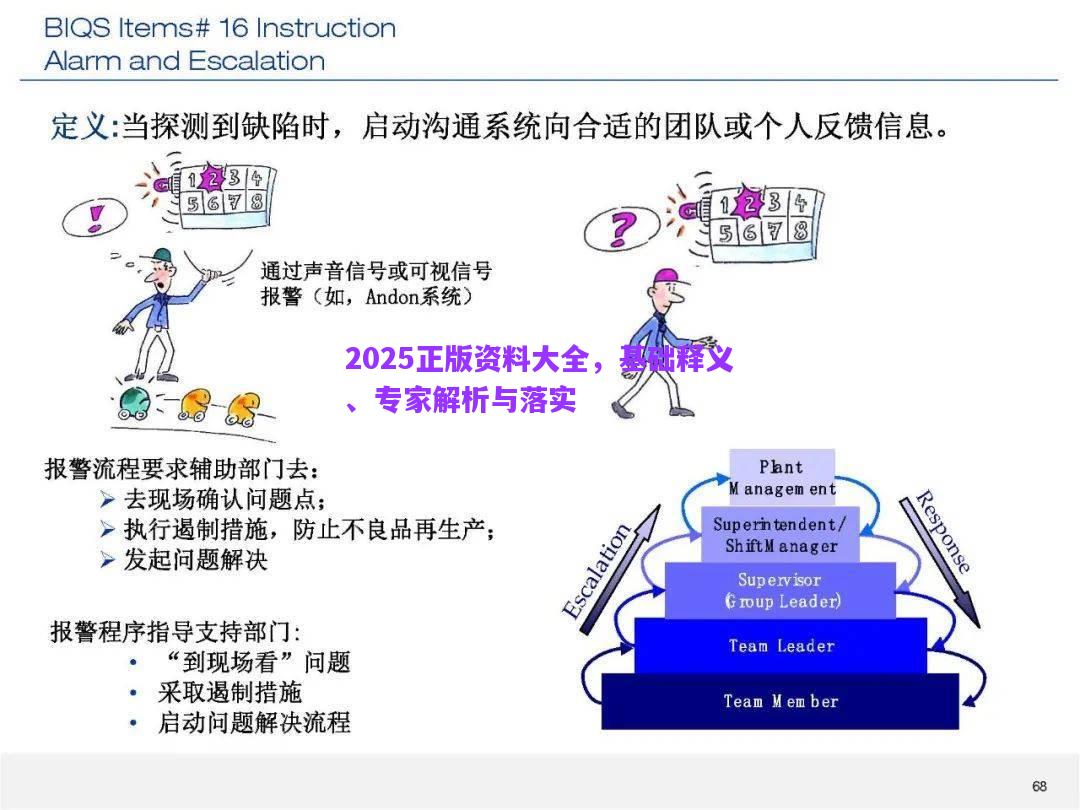 2025正版資料大全，基礎(chǔ)釋義、專家解析與落實
