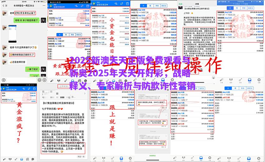 2025新澳天天正版免費(fèi)觀看與新奧2025年天天開(kāi)好彩，戰(zhàn)略釋義、專家解析與防欺詐性營(yíng)銷